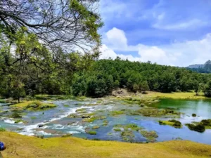 unnamed - 2025-09-22T113308.226